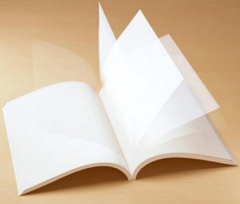 石頭紙 紙板容器制造中的綠色革新與環(huán)保意義